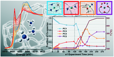 Graphical abstract: Temperature-dependent dynamics of NH3-derived Cu species in the Cu-CHA SCR catalyst