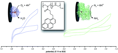 Graphical abstract: Pyrene hydrogel for promoting direct bioelectrochemistry: ATP-independent electroenzymatic reduction of N2