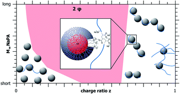 Graphical abstract: Structural control of polyelectrolyte/microemulsion droplet complexes (PEMECs) with different polyacrylates