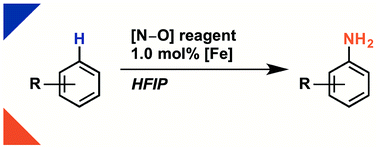 Graphical abstract: Aromatic C–H amination in hexafluoroisopropanol