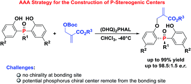 Graphical abstract: Access to P-chiral phosphine oxides by enantioselective allylic alkylation of bisphenols