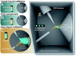 Graphical abstract: The chemical reactions in electrosprays of water do not always correspond to those at the pristine air–water interface