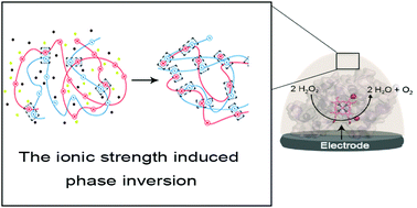 Graphical abstract: Direct bioelectrocatalysis by redox enzymes immobilized in electrostatically condensed oppositely charged polyelectrolyte electrode coatings