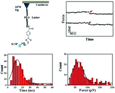 Graphical abstract: Monitoring the trans-membrane transport of single fluorescent silicon nanoparticles based on the force tracing technique