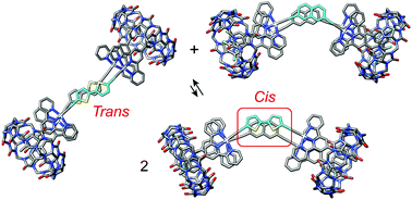 Graphical abstract: Templating conformations with cucurbiturils