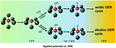 Graphical abstract: Revealing the structural transformation of rutile RuO2via in situ X-ray absorption spectroscopy during the oxygen evolution reaction