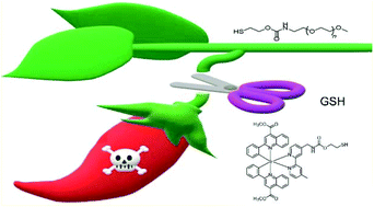 Graphical abstract: Iridium(iii) polypyridine complexes with a disulfide linker as biological sensors and cytotoxic agents