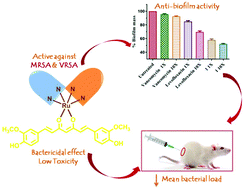 Graphical abstract: Rationally designed curcumin based ruthenium(ii) antimicrobials effective against drug-resistant Staphylococcus aureus