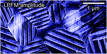 Graphical abstract: Comment on “ferroelectricity-free lead halide perovskites” by A. Gómez, Q. Wang, A. R. Goñi, M. Campoy-Quiles and A. Abate, Energy Environ. Sci., 2019, 12, 2537