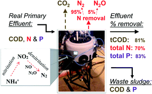 Graphical abstract: Integrated shortcut nitrogen and biological phosphorus removal from mainstream wastewater: process operation and modeling