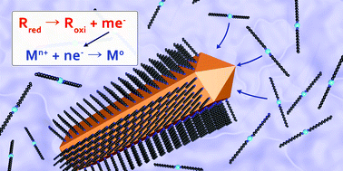 Graphical abstract: Electrochemical investigations of metal nanostructure growth with single crystals