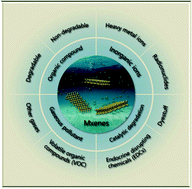 Graphical abstract: Recent progress and advances in the environmental applications of MXene related materials