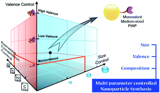 Graphical abstract: Independent control over size, valence, and elemental composition in the synthesis of DNA–nanoparticle conjugates