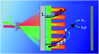 Graphical abstract: Cooperative effects of surface and interface treatments in a hematite (α-Fe2O3) photo-anode on its photo-electrochemical performance