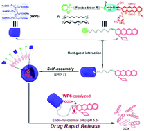 Graphical abstract: Stimuli-responsive supramolecular nano-systems based on pillar[n]arenes and their related applications