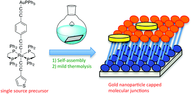 Graphical abstract: New routes to organometallic molecular junctions via a simple thermal processing protocol