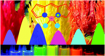 Graphical abstract: Recent advances in the application of BODIPY in bioimaging and chemosensing