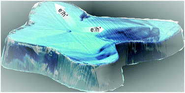 Graphical abstract: Anisotropic carrier diffusion in single MAPbI3 grains correlates to their twin domains