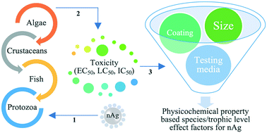 Graphical abstract: Emerging investigator series: calculating size- and coating-dependent effect factors for silver nanoparticles to inform characterization factor development for usage in life cycle assessment