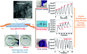 Graphical abstract: A water destructible SnS2 QD/PVA film based transient multifunctional sensor and machine learning assisted stimulus identification for non-invasive personal care diagnostics