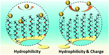 Graphical abstract: Effects of charge and hydrophilicity on the anti-fouling properties of kidney-inspired, polyester membranes