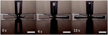 Graphical abstract: All-graphene-based open fluidics for pumpless, small-scale fluid transport via laser-controlled wettability patterning