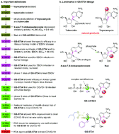 Graphical abstract: GS-5734: a potentially approved drug by FDA against SARS-Cov-2