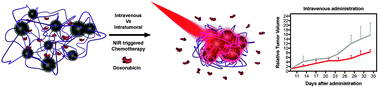 Graphical abstract: Revealing the NIR-triggered chemotherapy therapeutic window of magnetic and thermoresponsive nanogels