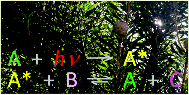 Graphical abstract: Perspective – life and death of a photon: an intuitive non-equilibrium thermodynamic distinction between photochemistry and thermochemistry