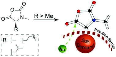 Graphical abstract: Insight into the synthesis of N-methylated polypeptides