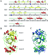 Graphical abstract: Anti-HIV drug repurposing against SARS-CoV-2