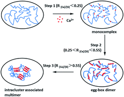 Graphical abstract: A sodium alginate-based sustained-release IPN hydrogel and its applications