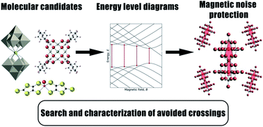 Graphical abstract: Exploiting clock transitions for the chemical design of resilient molecular spin qubits