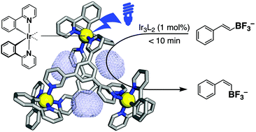 Graphical abstract: An Ir3L2 complex with anion binding pockets: photocatalytic E–Z isomerization via molecular recognition