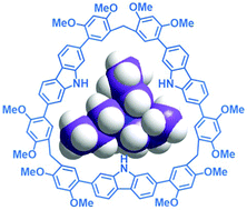 Graphical abstract: Synthesis of a large-cavity carbazole macrocycle for size-dependent recognition