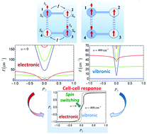 Graphical abstract: Toward multifunctional molecular cells for quantum cellular automata: exploitation of interconnected charge and spin degrees of freedom