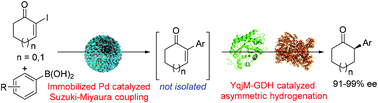 Graphical abstract: Aqueous chemoenzymatic one-pot enantioselective synthesis of tertiary α-aryl cycloketones via Pd-catalyzed C–C formation and enzymatic C [[double bond, length as m-dash]] C asymmetric hydrogenation