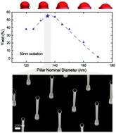 Graphical abstract: GaAs nanowires on Si nanopillars: towards large scale, phase-engineered arrays