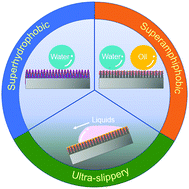 Graphical abstract: Superhydrophobic, superamphiphobic and SLIPS materials as anti-corrosion and anti-biofouling barriers