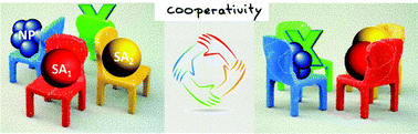 Graphical abstract: Cooperativity in supported metal single atom catalysis