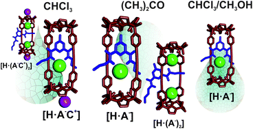 Graphical abstract: The effect of solvent on the binding of anions and ion-pairs with a neutral [2]rotaxane