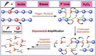 Graphical abstract: Designing self-propagating polymers with ultrasensitivity through feedback signal amplification