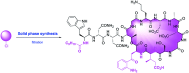 Graphical abstract: Recent applications of solid-phase strategy in total synthesis of antibiotics