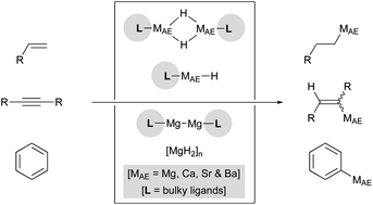 Graphical abstract: Generation of organo-alkaline earth metal complexes from non-polar unsaturated molecules and their synthetic applications