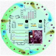 Graphical abstract: Rigid two-dimensional indium metal–organic frameworks boosting nitrogen electroreduction at all pH values