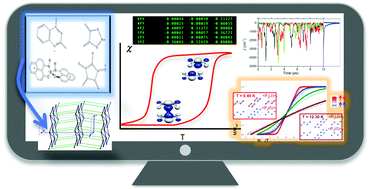 Graphical abstract: Insights into the magnetism and phase transitions of organic radical-based materials