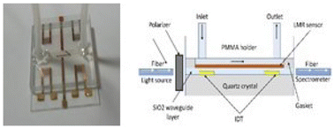 Graphical abstract: Spectral measurements with hybrid LMR and SAW platform for dual parameter sensing