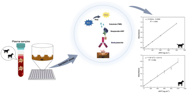 Graphical abstract: Molecularly imprinted polymers as effective capturing receptors in a pseudo-ELISA immunoassay for procalcitonin detection in veterinary species