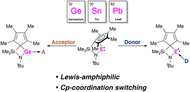 Graphical abstract: Heavier N-heterocyclic half-sandwich tetrylenes