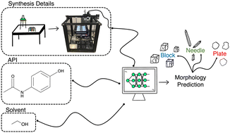 Graphical abstract: Predicting pharmaceutical crystal morphology using artificial intelligence